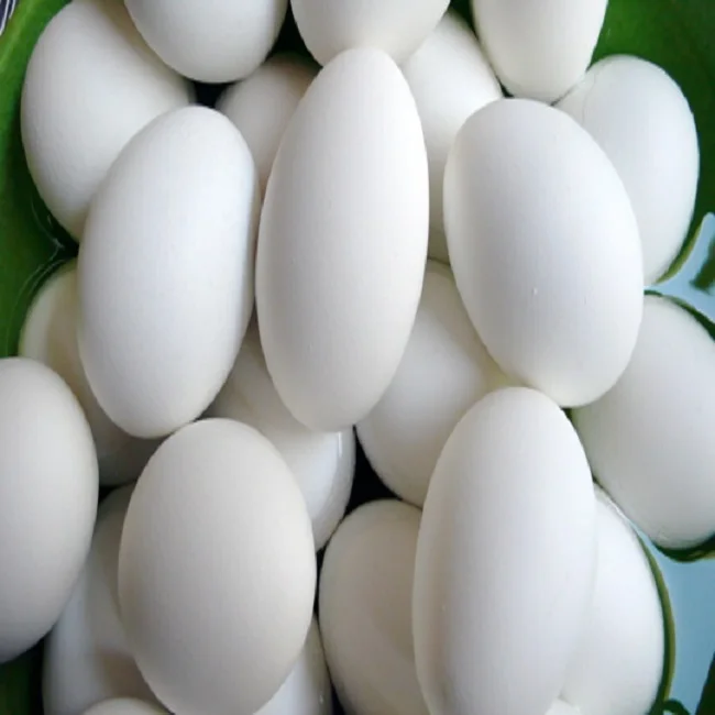 Farm Fresh Chicken Eggs From India Buy Eggs Chicken Farm
