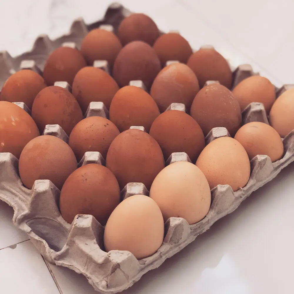 fresh eggs.jpeg