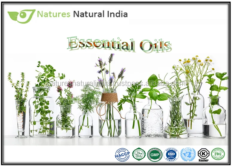 Good Smelling Pure Peppermint Essential Oil Pure Natural Peppermint