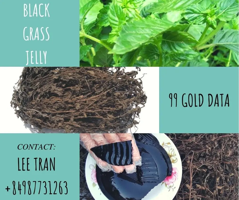 High Quality Black Dried Grass Jelly In Vietnam Buy Grass Jelly,Dried