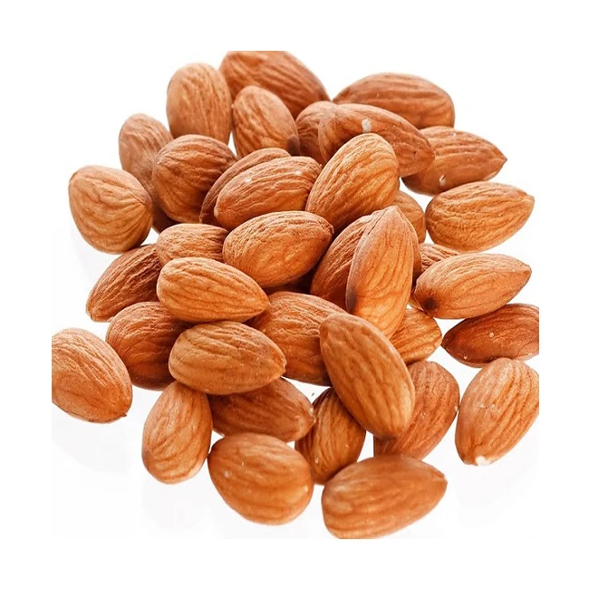 fresh quality almond nuts for bulk purchase