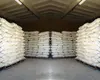 Dried yellow corn (chicken feed)