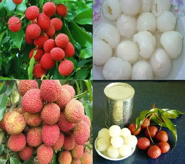 Canned Lychee In Syrup Fruit Beverage Food Top Selling High Quality