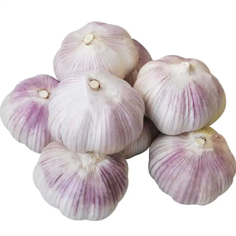 Thai Ubos nga Presyo Lab-as nga ahos White Garlic Normal White Garlic
