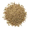 Top Quality Good Price Cumin Seeds for Sale supplier wholesaler exporter India