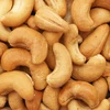 Factory Dried organic cashews nuts cashews kernels for sale/OEM packing Roasted and salted cashew nuts