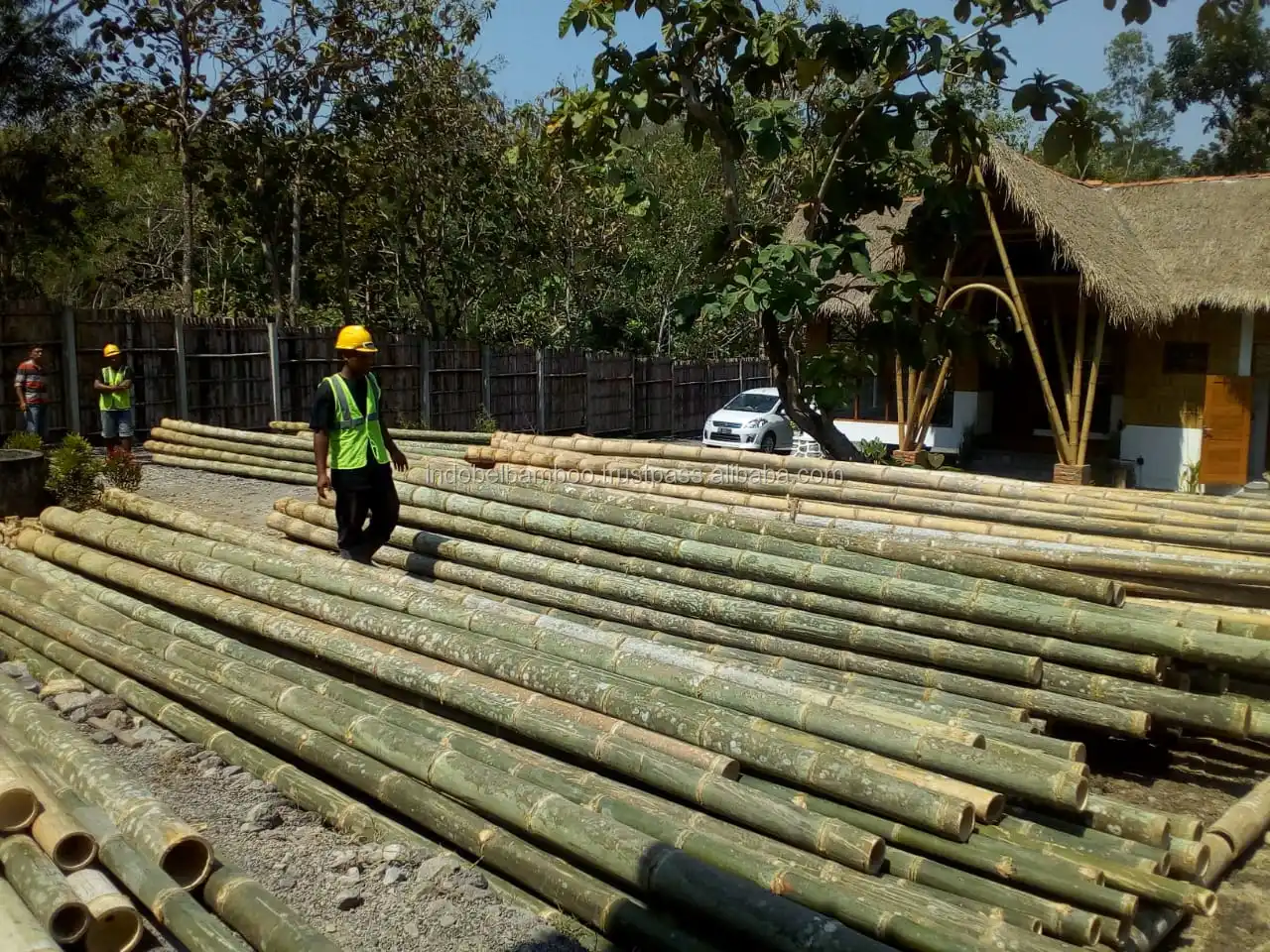 Bamboo Poles Natural Straight For Construction 4m (nontreated) Buy