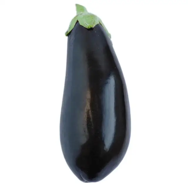
Brinjal Supplier Brinjal wholesaler/ brinjal vegetables 