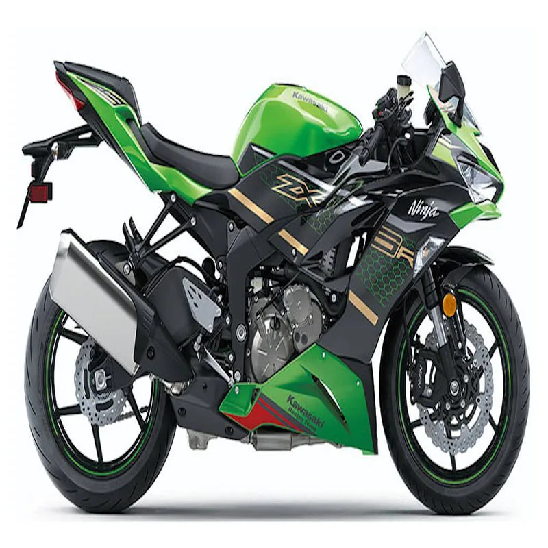 kawasaki ninja 10rr