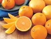 Citrus Fruits/Mandarin Orange/Fresh Orange