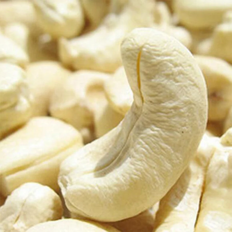raw cashew kernels