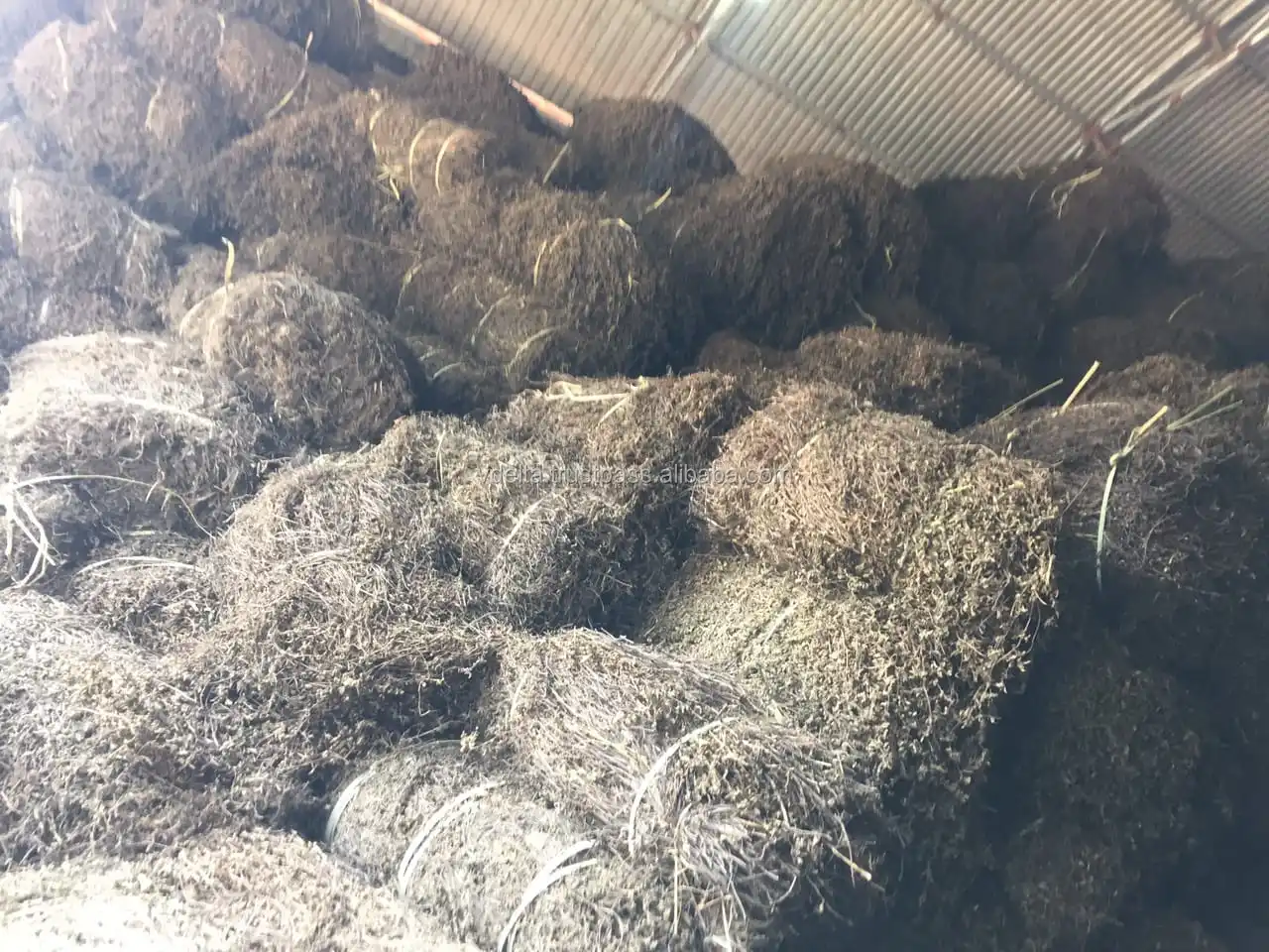 Dried Black Jelly Grass Leaves Raw Material To Make Grass Jelly Buy