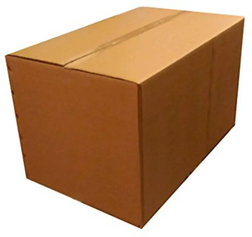 CARTON.jpeg
