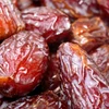 Premium Medjool Dates Israeli Natural & Organic Fresh Dates The World Highest Quality Super Sweet Palm Date Unlimited Shelf L