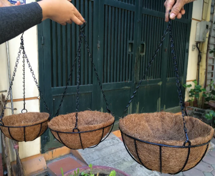 Hanging Basket With Natural Coconut Liner Coconut Coir Pots 99 Gold
