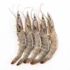 Frozen Fresh Shrimp/Seafood/Black Tiger Prawn