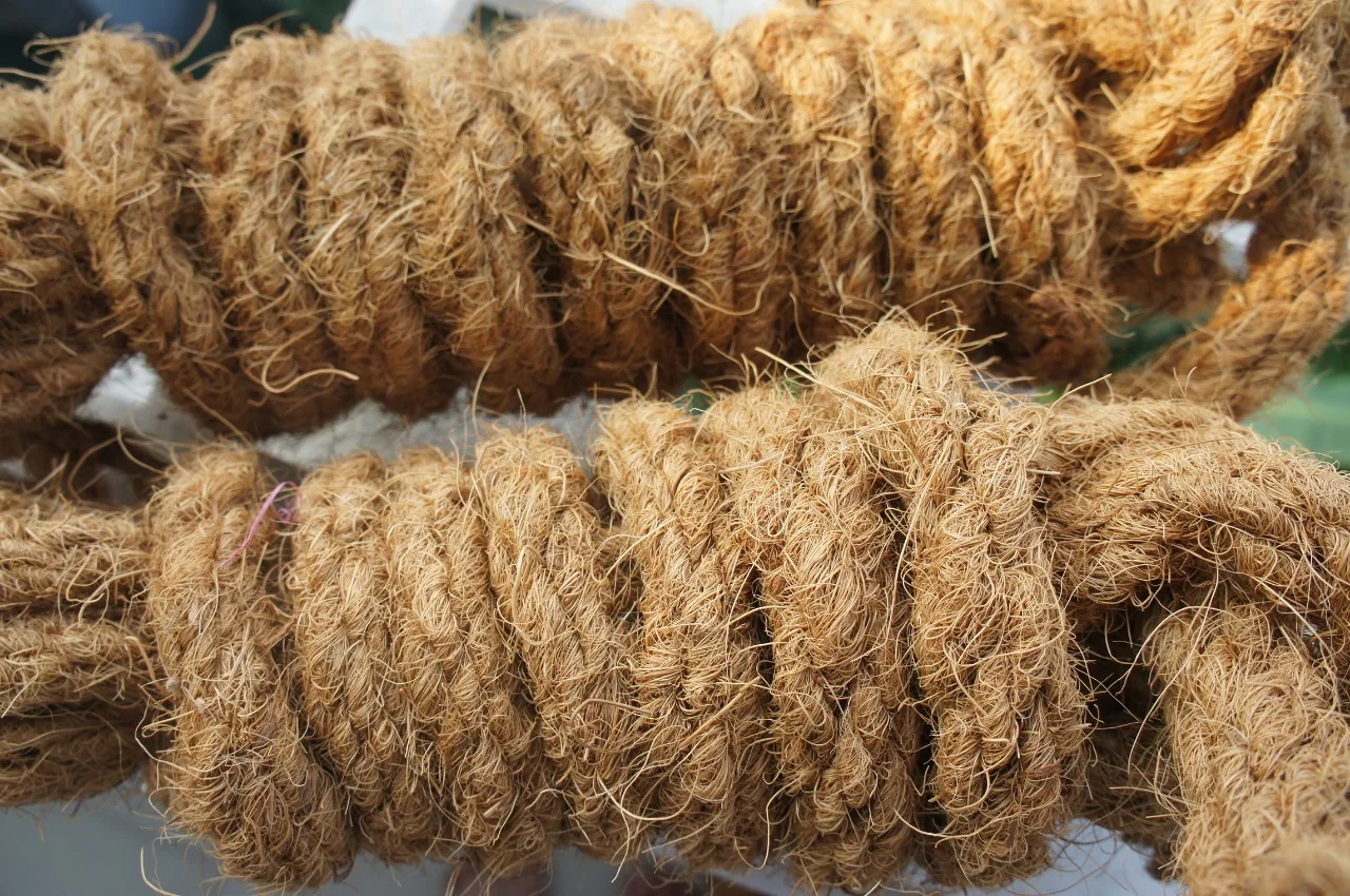 Cameroon Coconut Coir Rope Mussel Farming / Coconut Fiber Rope Heavy