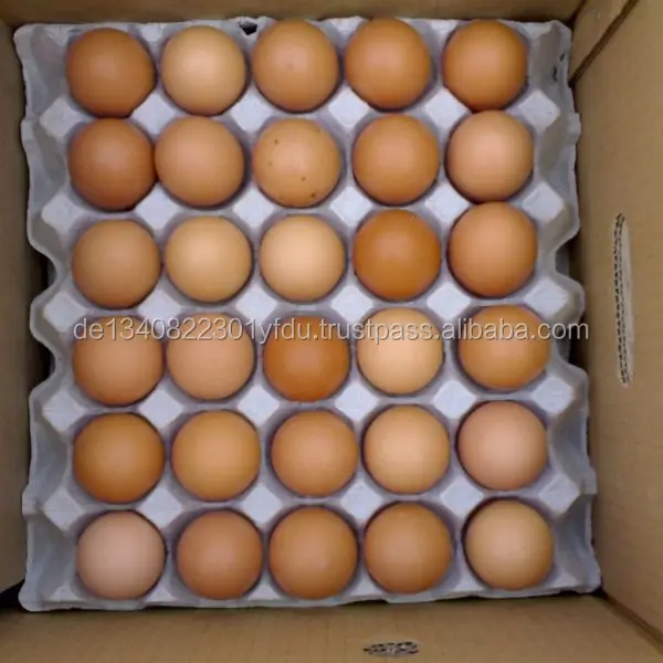 FRESH WHITE AND BROWN EGGS ALL AVAILABLE FOR SALE