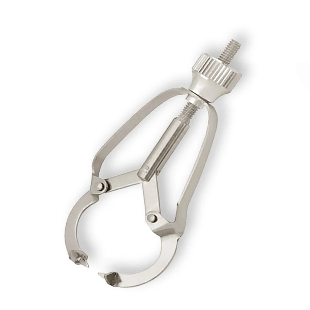 Dental Ivory Matrix Band Retainer Instruments Dental Matrices Holders