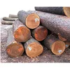 Quality CHERRY Wood Logs, CHERRY Logs, Round Timber