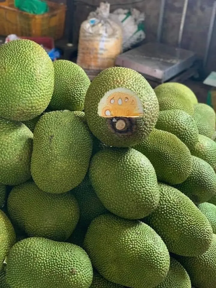 优质新鲜菠萝蜜有吸引力的价格在越南菠萝蜜芯片