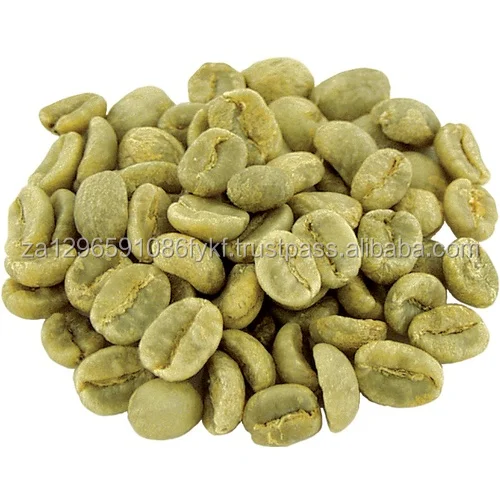 Details about   Unroasted Green Coffe Beans imported from Brazil Premium Specialty Grade Arabic