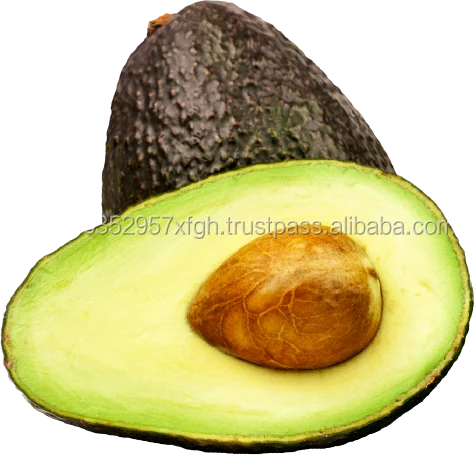 high-quality prices fresh sweet hass avocado from mexico