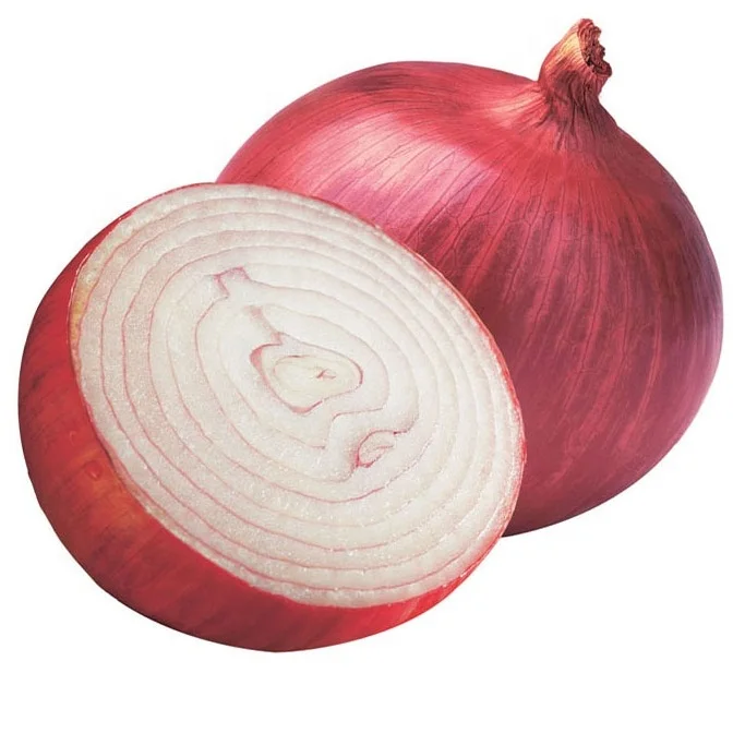 Fresh Onion151.jpg