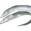 Frozen Ribbon Fish