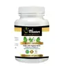 Organic Herbal Brahmi Capsule / Health Supplement/Bacopa Monnieri Powder Capsules