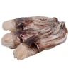 High grade Best quality seafood china head squid