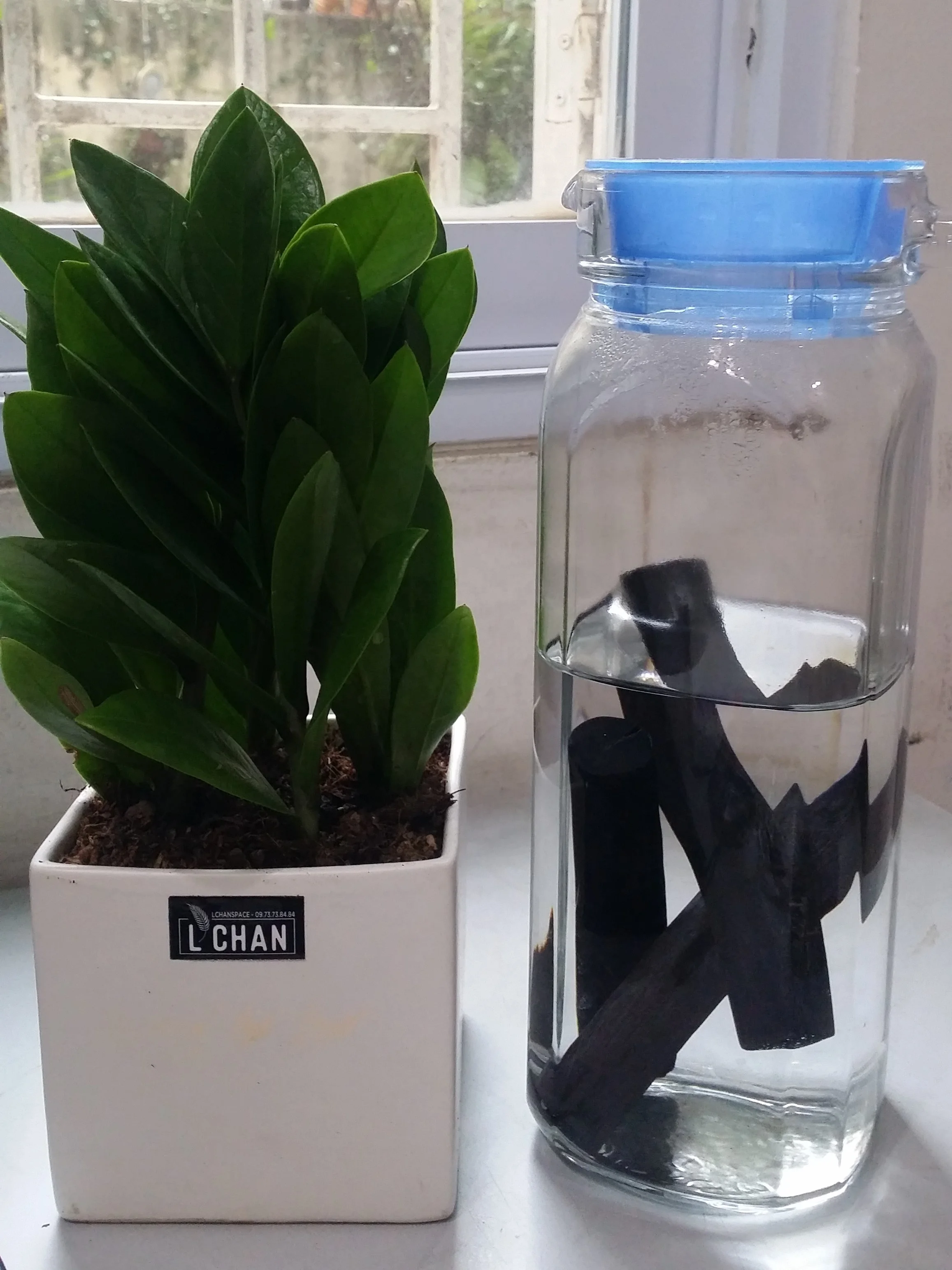 Charcoal For Water Filter White Charcoal Hard Wood Stick Buy Charcoal