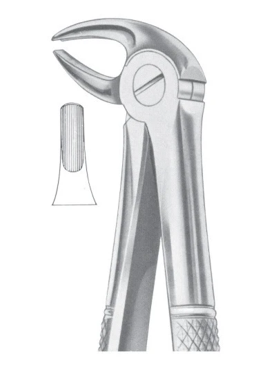 Fig.2 Upper Laterals & Canines Different Size Teeth Extraction Forceps ...