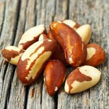 brazil nut suppliers