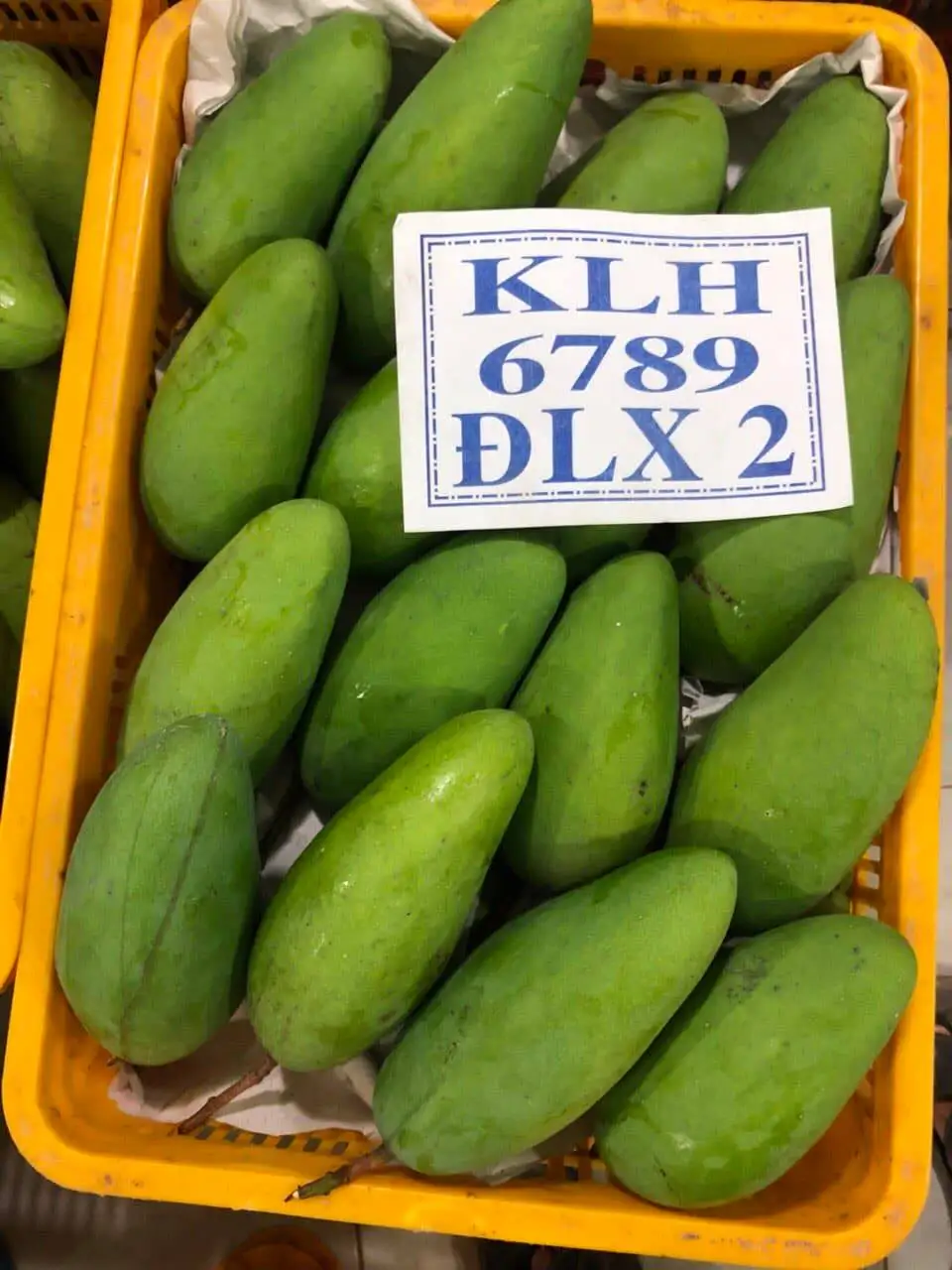 type: honey mango. taste: soft, sweet. shelf life: 2 months.