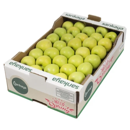 
Fresh Apple Golden New Crop Premium High Quality 