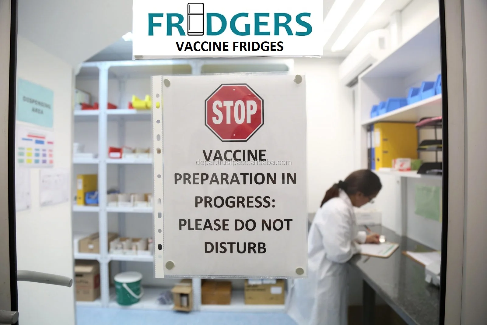 57lt Mini Vaccine Refrigerator 220vac For Medicine In Hospitals,Health