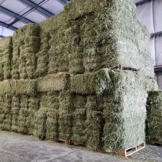 Alfalfa Hay Bales1117777.jpg