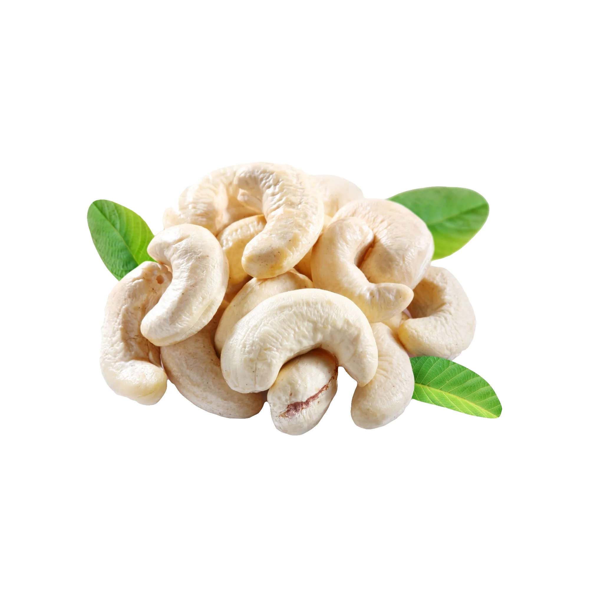 Origin Canada wholesale price premium quality organic cashew nut /raw cashews