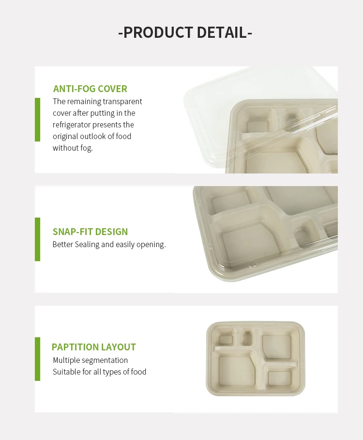Sugarcane Pulp Disposable Compostable Biodegradable Bagasse Eco Bento ...