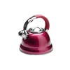 Brand new stainless steel kettle with great price