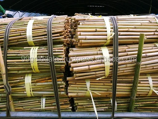 Tonkin Bamboo Pole 1 x 6~10'L Bundle