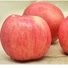 Fresh Apples ( Fuji, Gala, Red, Golden) Available At Best Prices