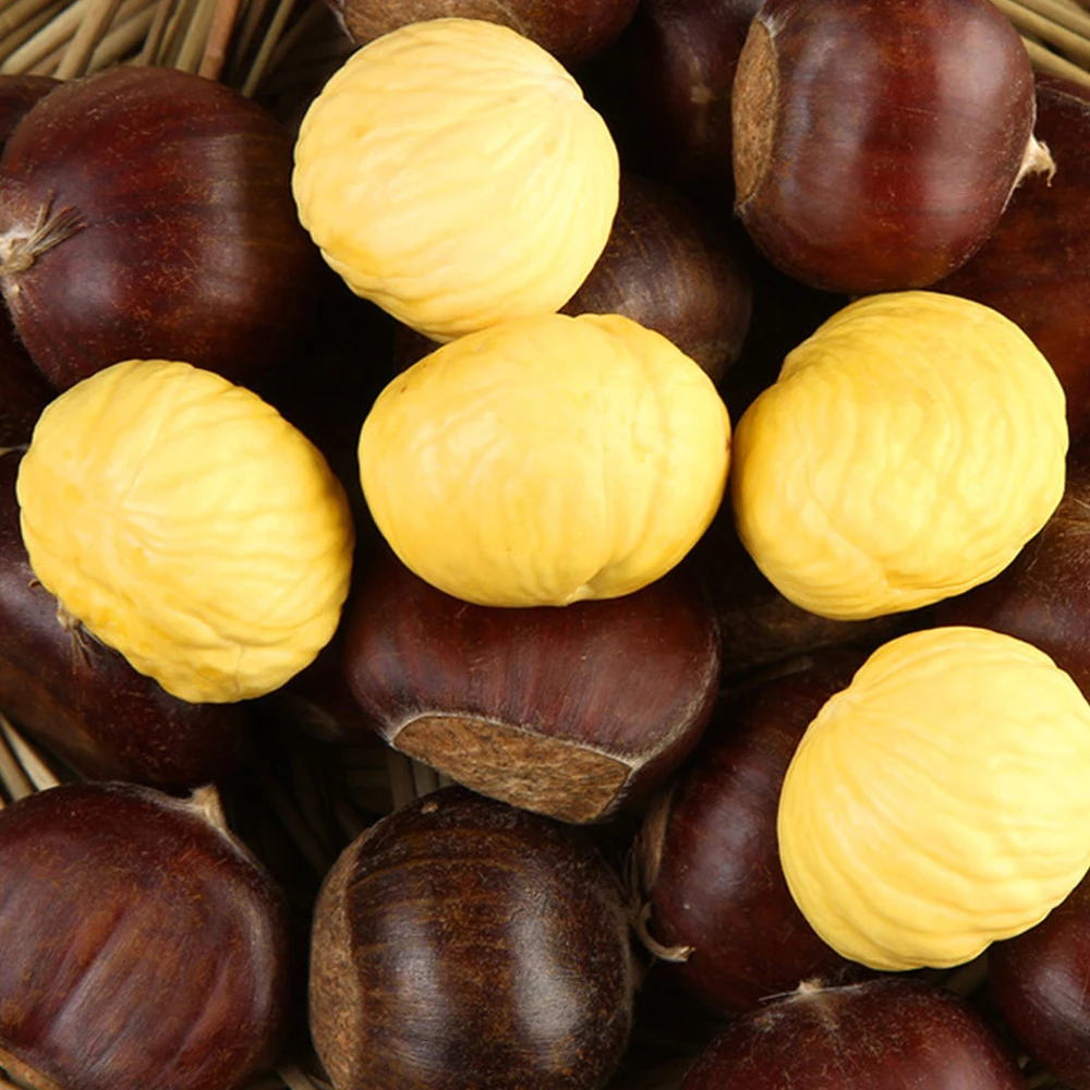 united kingdom chestnut kernel