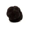 /product-detail/detan-tuber-magnatum-truffle-black-truffles-for-sale-62014628259.html