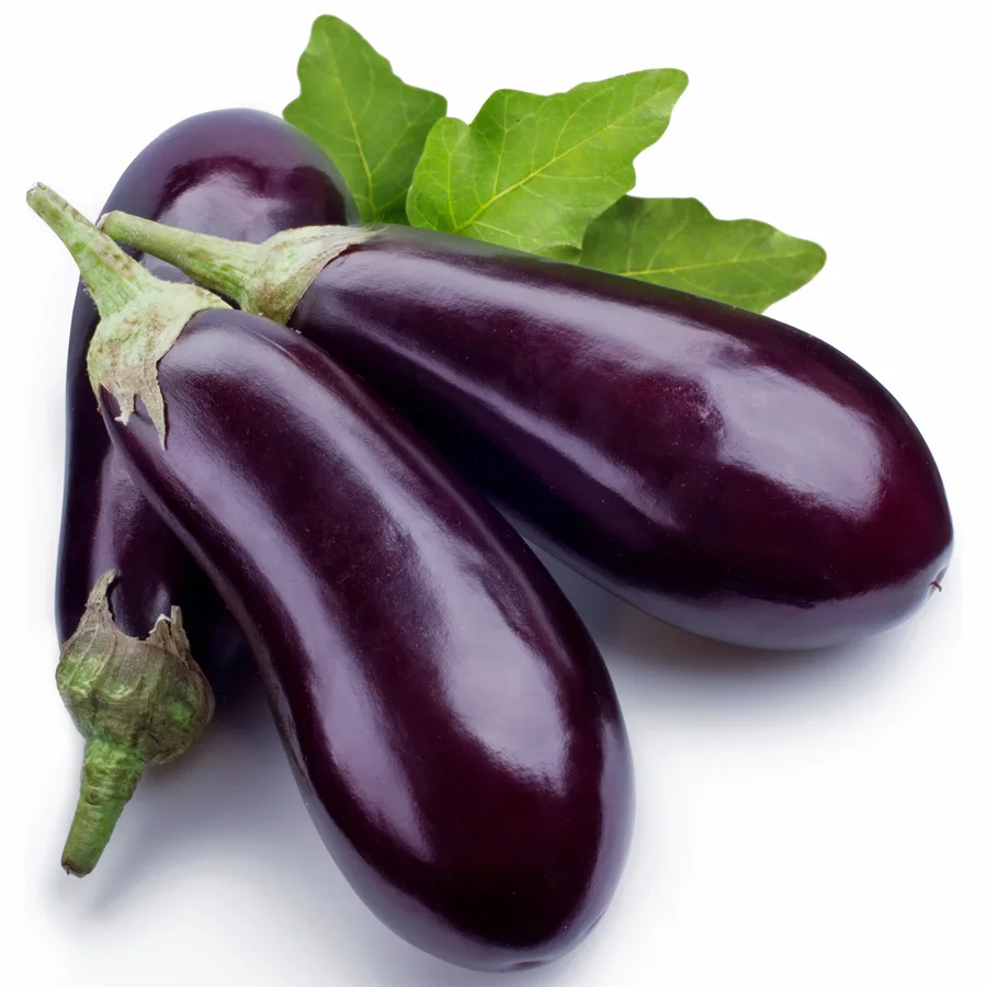 eggplant-florida-market.jpg