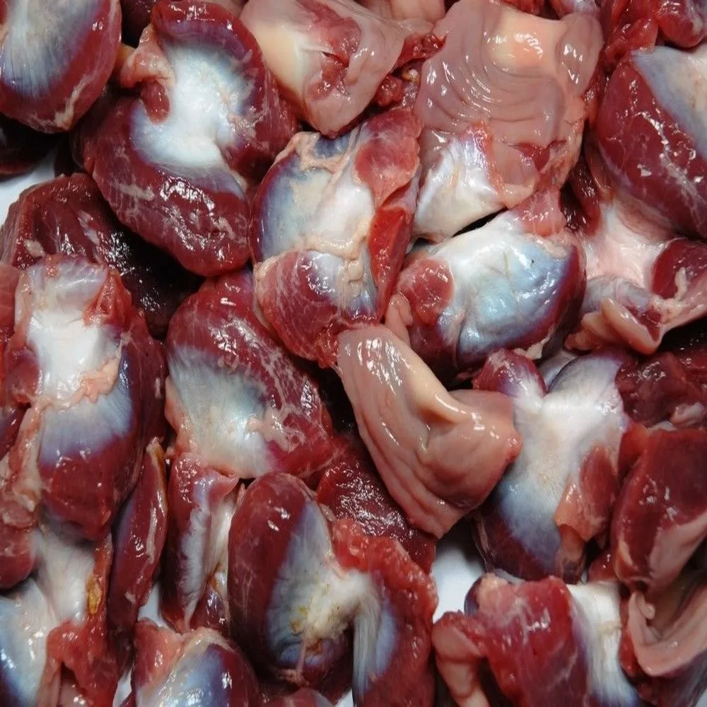 fresh frozen chicken gizzards fro sale at wholesale best prices