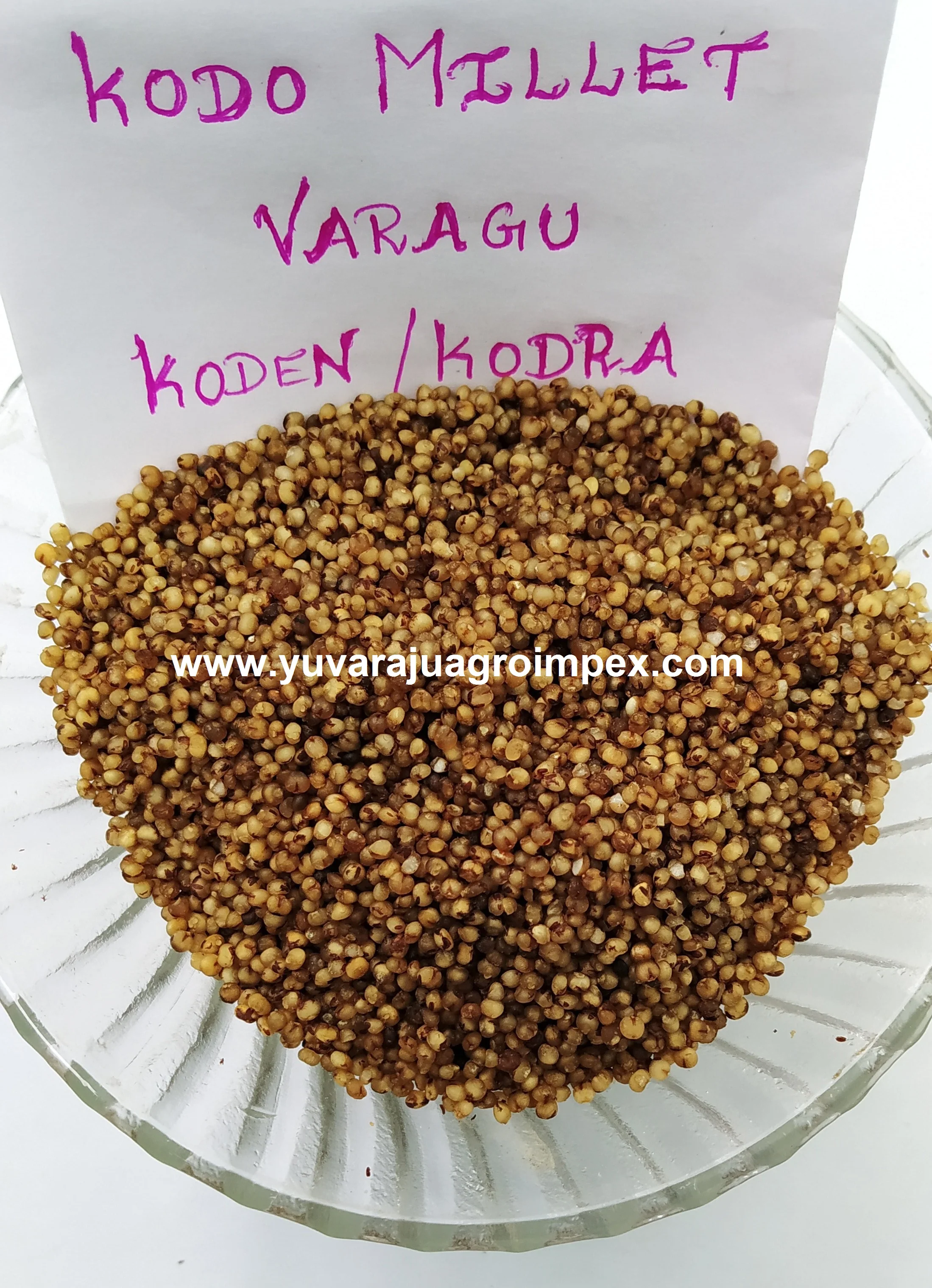 Natural Kodo Millet/ Millet Grain Buy Millet Seed Extract,Brown