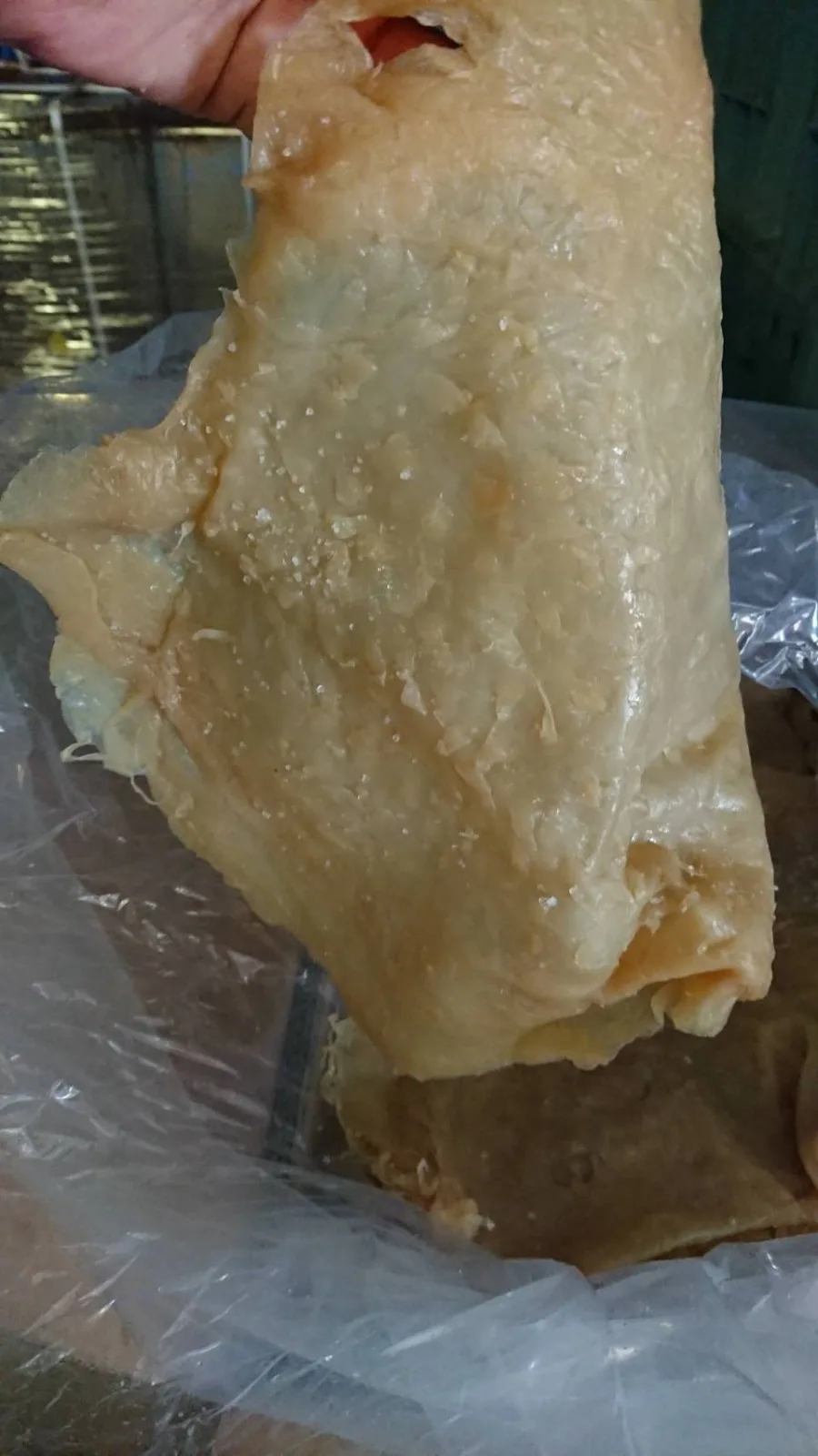 Dried Jellyfish/jellyfish Salted From Vietnam Buy Jellyfish,Salted