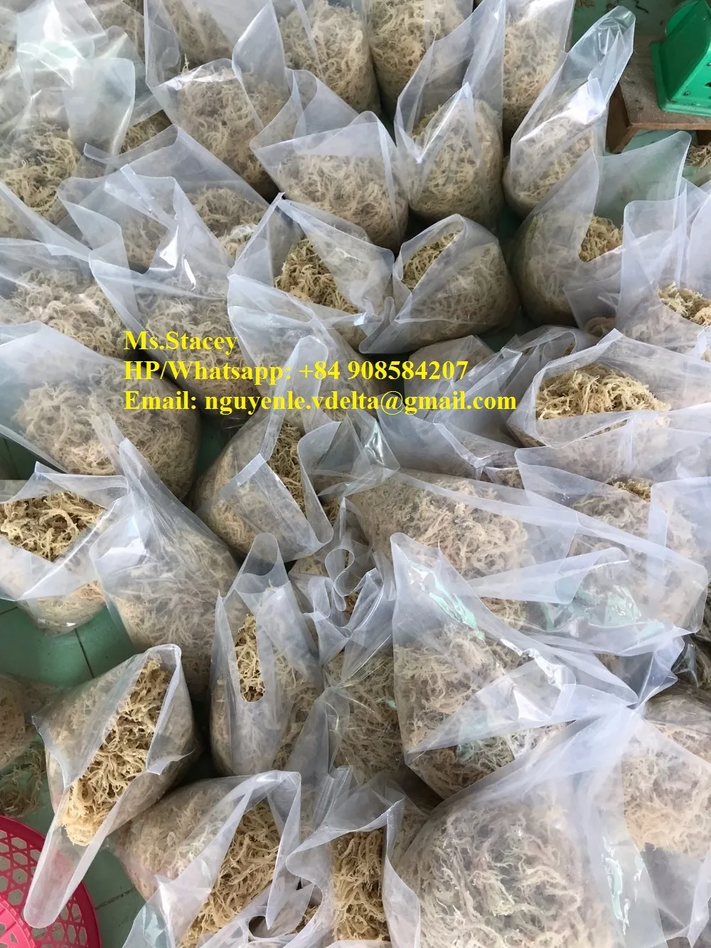 Wildcrafted Sea Moss Irish Moss From Vietnam Ocean Ms. Esther